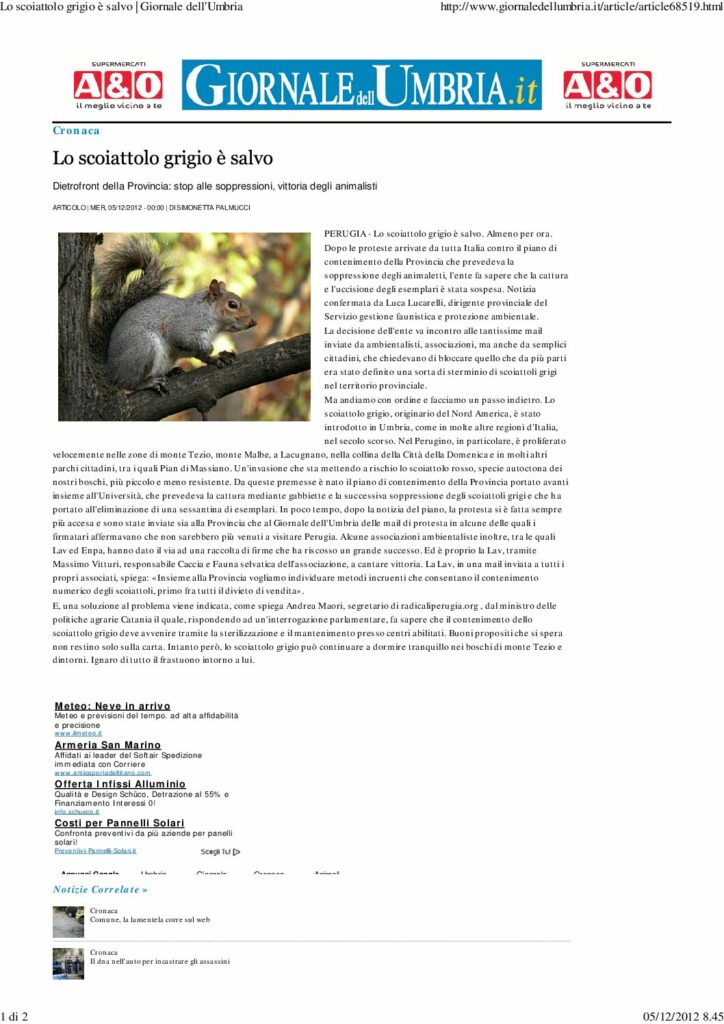 thumbnail of 05.12.2012 Giornale dell’Umbria – Lo scoiattolo grigio è salvo