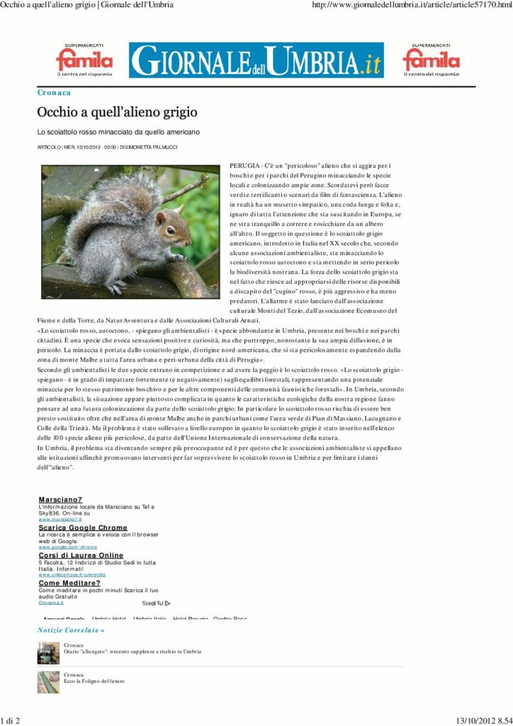 thumbnail of 10.10.2012 Giornale dell’Umbria – Occhio a quell’alieno grigio