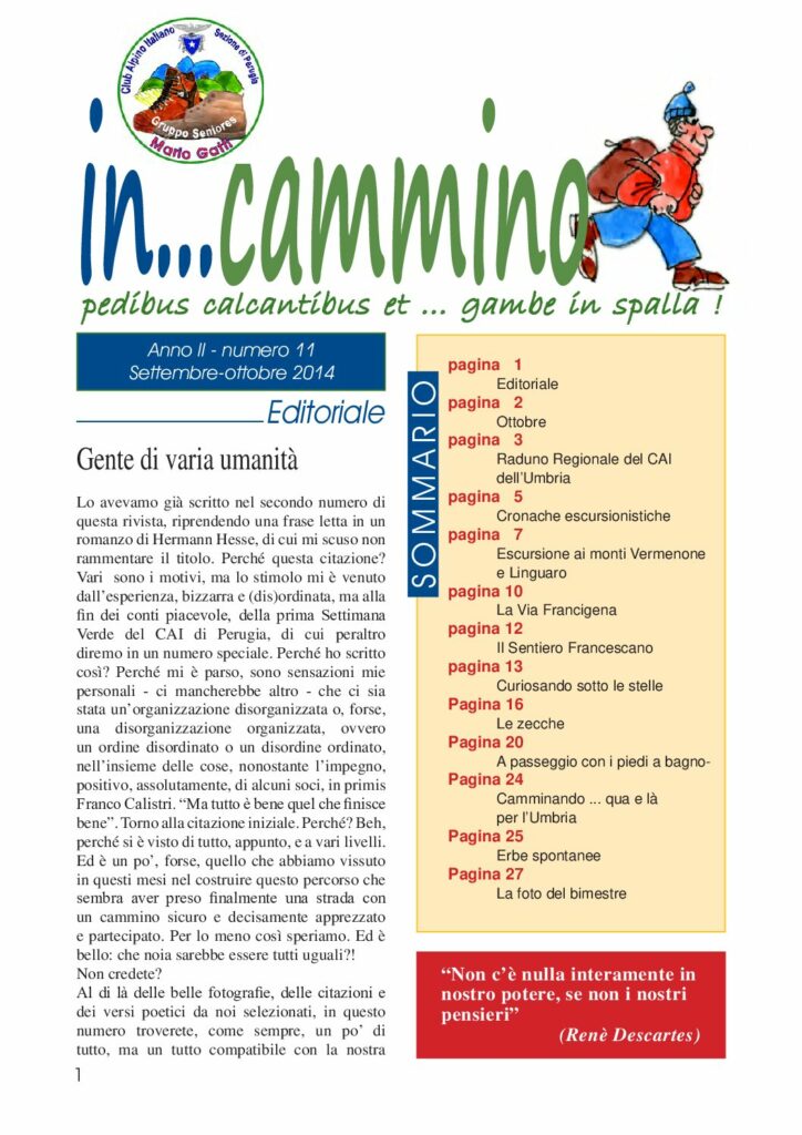 thumbnail of In…Cammino n.11