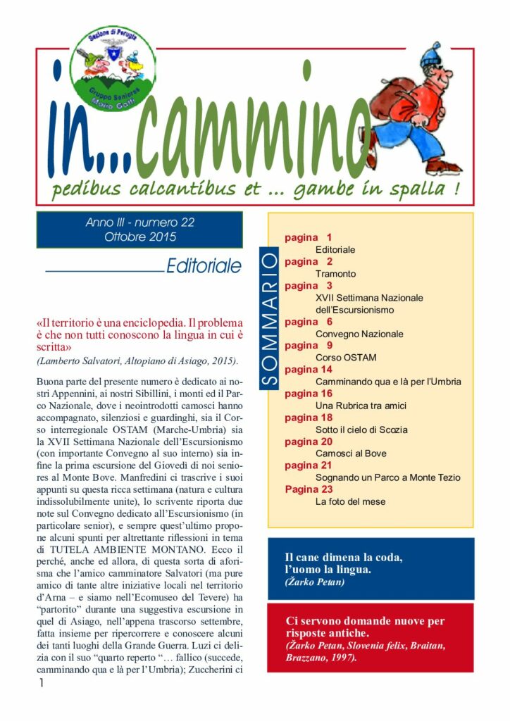 thumbnail of In…Cammino n.22