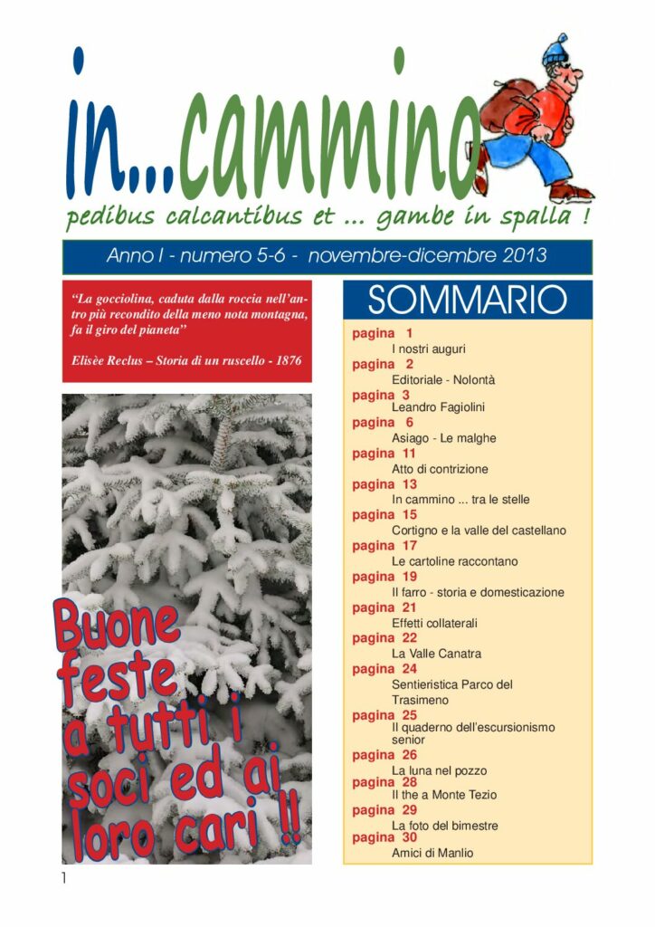 thumbnail of In…Cammino n.5-6 br